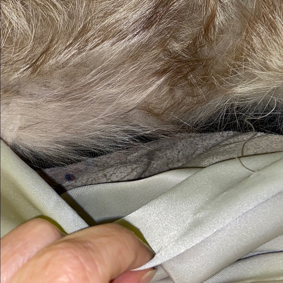 Vintage silver fox 🌹HP🌹 - Picture 13 of 13